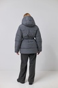 CB000030533_gray_cell_3.JPG