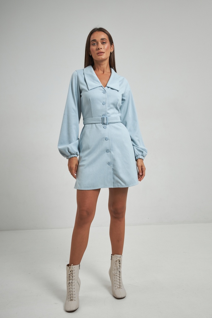 Dress with a collar